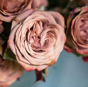 CREATE A BUNDLE and I'll make you an offer!!